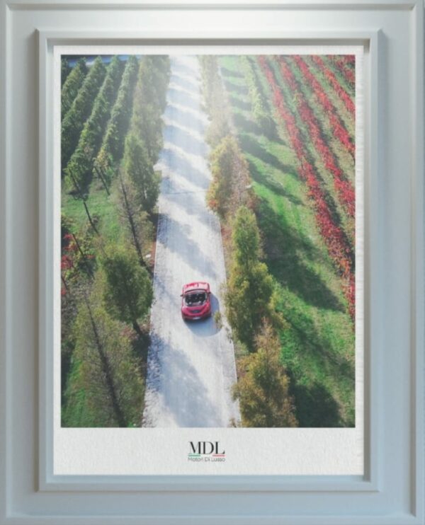 Stampa Ferrari - immagine 2