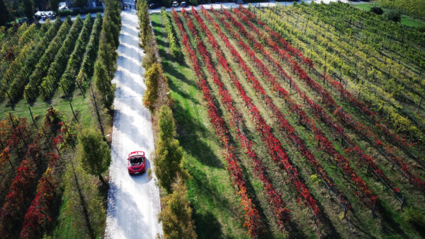 Stampa Ferrari - immagine 3