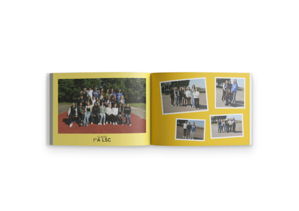 Year Book - immagine 4
